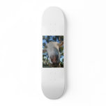 White saanen dairy goat doe nose close up HI Skateboard