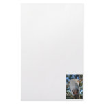 White saanen dairy goat doe nose close up HI Stationery