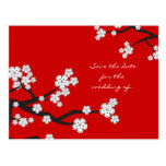 White Sakura Cherry Blossoms Save The Date Wedding Postcards