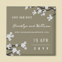 White Sakuras Save The Date / Thank You Magnet