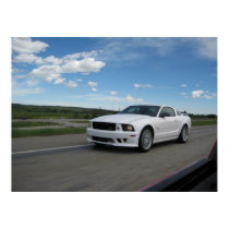 White Saleen Mustang posters