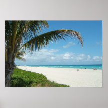 White Sand Beach w/Palm Print