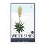 White Sands National Monument 3 Post Card