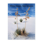White Sands