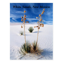 White Sands Postcard