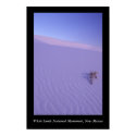 White Sands posters by uccelino White Sands posters
