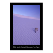 White Sands posters