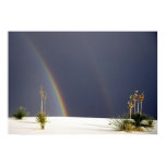 White Sands Rainbow