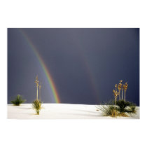 White Sands Rainbow posters