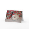 White Santa Pig card