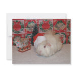 White Santa Pig Custom Announcement