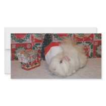 White Santa Pig Photo Cards