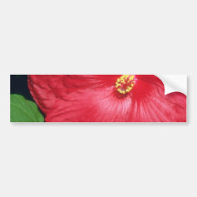 White Scarlet flowers Bumper Stickers