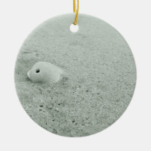 White Seashell On White Sandy beach Christmas Tree Ornaments