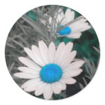 White Shasta Daisies (w/Teal blue) stickers White Shasta Daisies (w/Teal blue) stickers