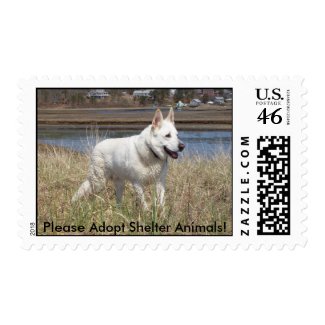 White Shepherd - adoption stamp stamp
