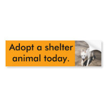 White Shepherd Bumper Sticker bumper stickers