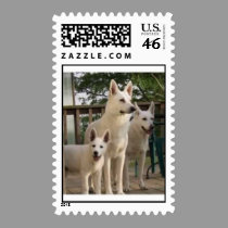 White Shepherd Family postage
