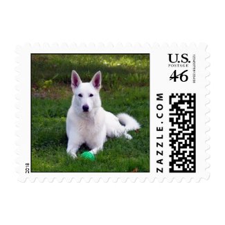 White Shepherd Playing Ball stamp