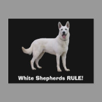 White Shepherds RULE! Postcards postcards