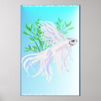 White Siamese Fighting Fish large Poster