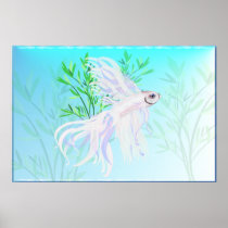 White Siamese Fighting Fish Posters