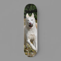 White Siberian husky skateboard