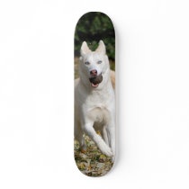White Siberian husky skateboard by nwillens White Siberian husky skateboard