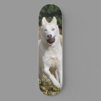 White Siberian husky skateboard - Customized