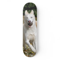 White Siberian husky skateboard - Customized by nwillens White Siberian husky skateboard - Customized