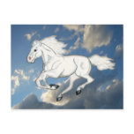 White Sky Horse Postcard