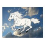 White Sky Horse Postcard