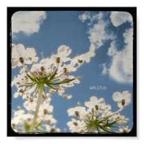 White - Small print by Lenoirrr White - Small print