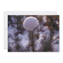 white Snowflower, Ashpley Heath Woods flowers Announcement