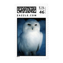 White Snowy Owl Postage Stamp