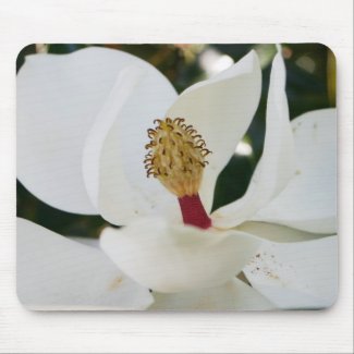 White southern magnolia flower blossom unique mousepad