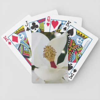 White southern magnolia flower gifts playingcards deck of cards
