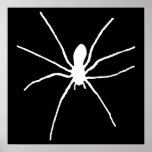 White Spider Print