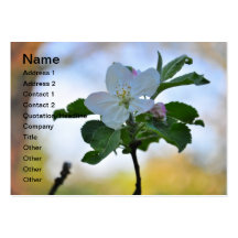White spring flower business card template