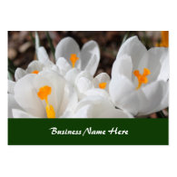 white spring flowers business card