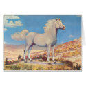 White Stallion King Of The Plains cards by CowgirlCafeOnline White Stallion King Of The Plains cards
