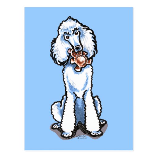 standard poodle teddy bear clip