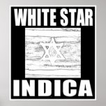 WHITE STAR INDICA POSTERS