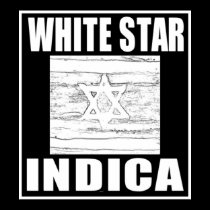 WHITE STAR INDICA posters