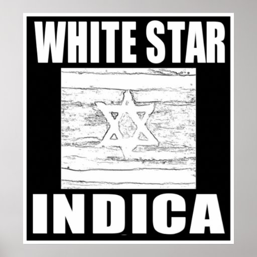 WHITE STAR INDICA POSTERS