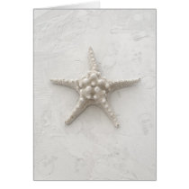 White Starfish cards by DevaRay White Starfish cards