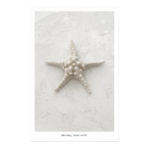 White Starfish posters by DevaRay White Starfish posters