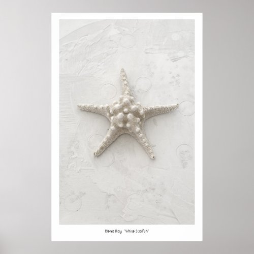 White Starfish print