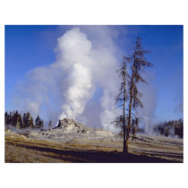 White steam, Upper Geyser Basin, Yellowstone Natio Flyer
