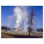 White steam, Upper Geyser Basin, Yellowstone Natio flyers